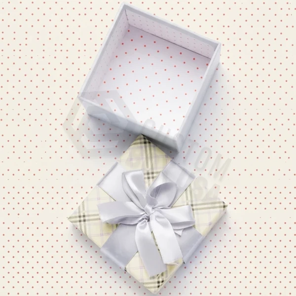 gift wrap box_x