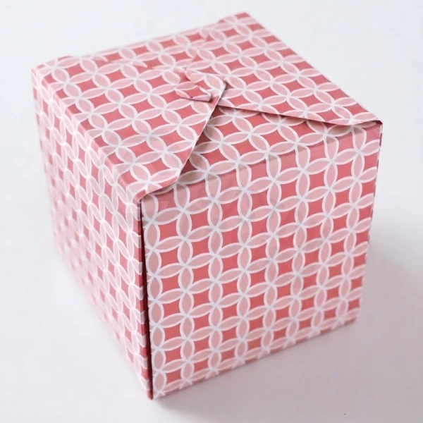 packaging gift wrap box_x
